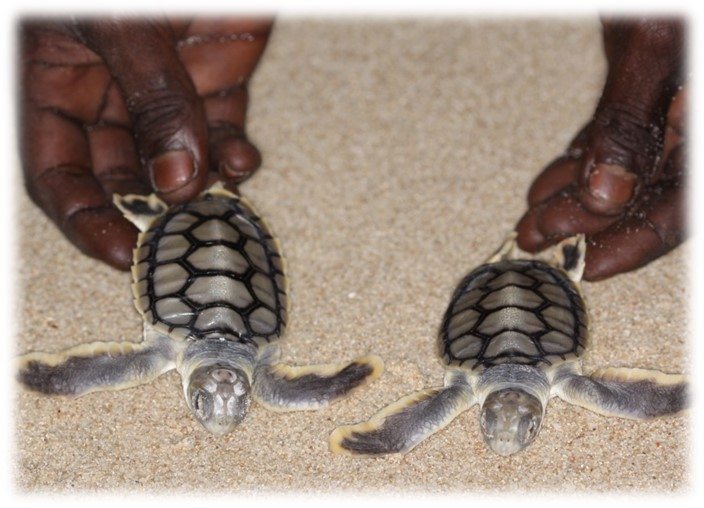 Country-based Planning